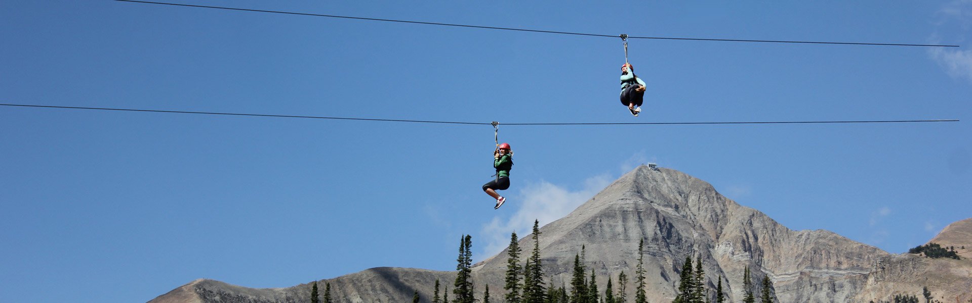 Summer Adventure Zipline Header