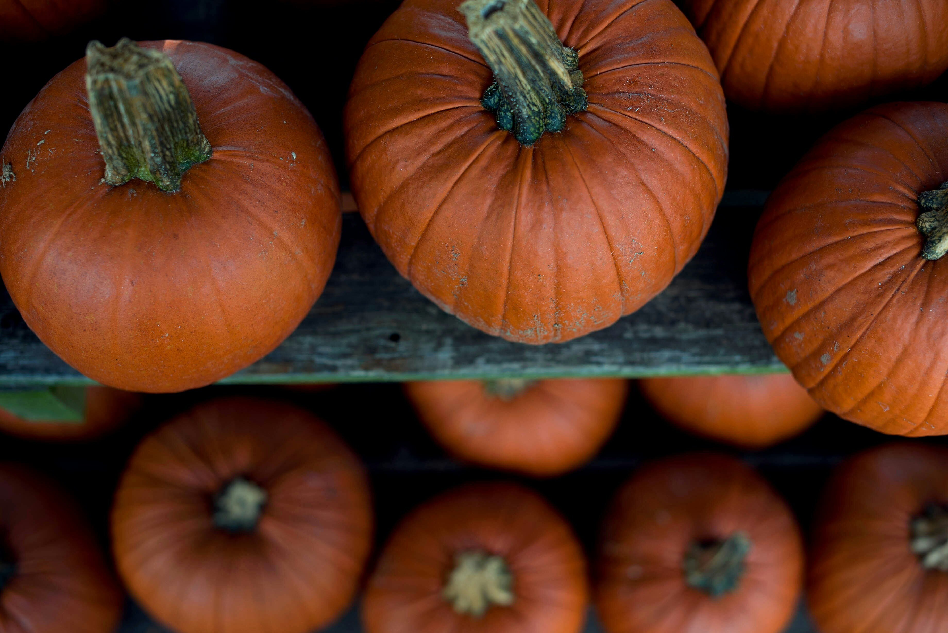 jennifer-burk-S9JLwFjFXEY-unsplash